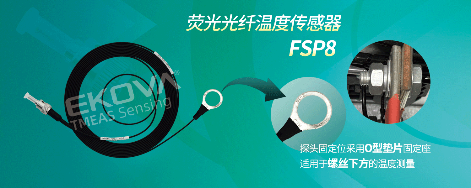 電機FSP8-輪播